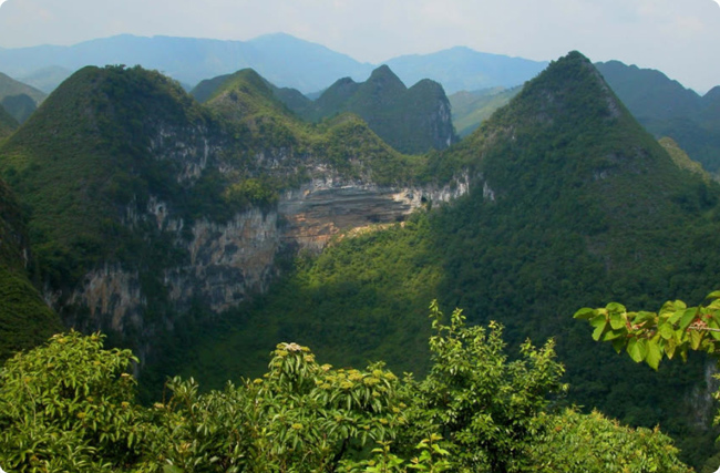 百色碳匯破局隆林簽約森林變現